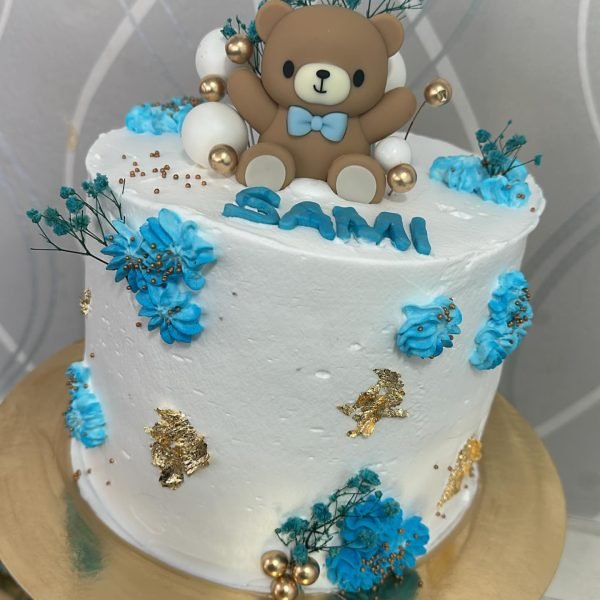 3604814568921357059_1038116123